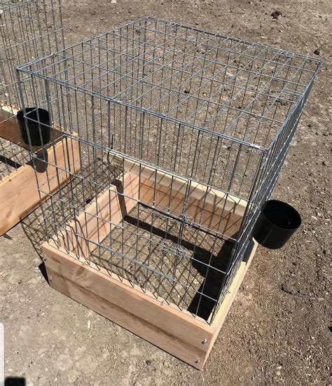 Drop pens for gamefowl - 11+ Tips for Predator-proofing Chickens. Don’t allow Chickens to Roost Outside. Never Rely on Chicken Wire for Safety. Install ¼ inch Hardware Cloth Liberally. Bury it or put an Apron on It. Cover the Run. Close Coop and Run Doors at Dusk. USE 2 STEP LOCKS ON DOOR LATCHES.